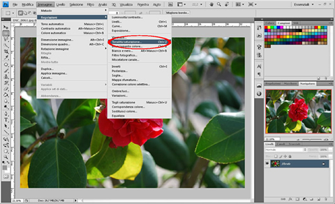 Photoshop - Tonalità Saturazione