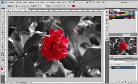 Photoshop - Un solo colore dentro una foto in bianco e nero